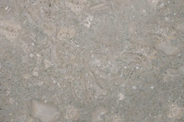 FOSSIL LIMESTONE