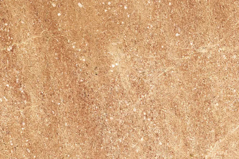 ROSA GERONA (ROSA ZARCI)